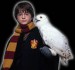 Harry poter a jeho sova hedvika.jpg